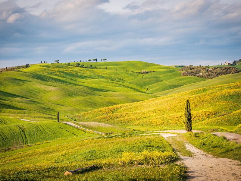 toscana toscana